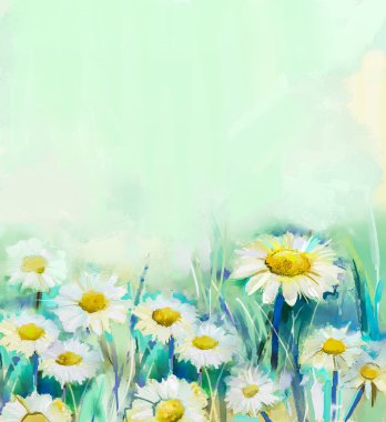 Yağlıboya papatya çiçekleri alanında. El boyası beyaz çiçekler gerbera papatya yeşil yumuşak renkte - mavi renk arka plan