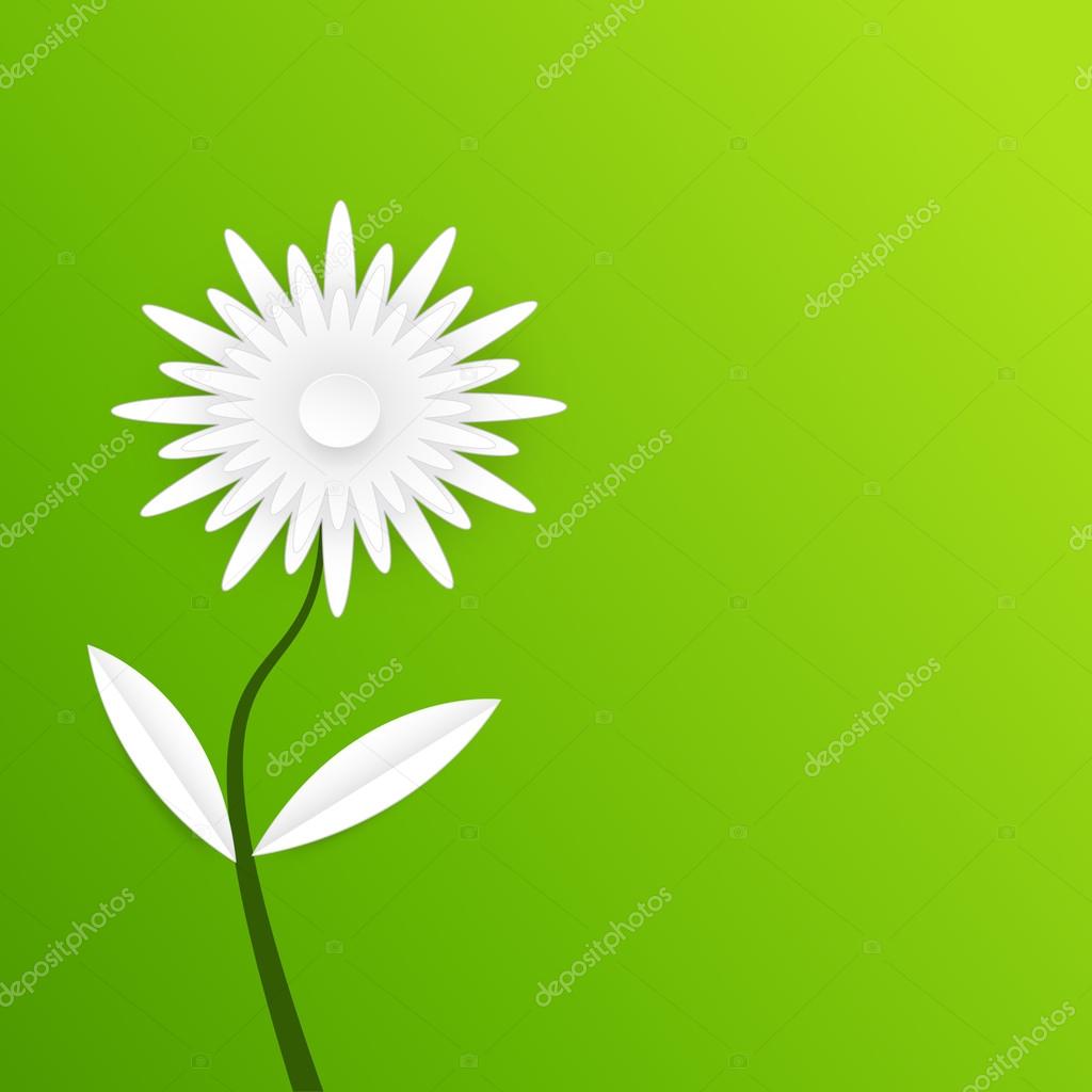 Tarjeta de primavera. flores de papel blanco sobre fondo verde . Vector de  stock #54259525 de ©Nongkran_ch, image size:1024x1024