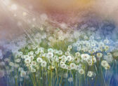 Картина, постер, плакат, фотообои "vintage oil painting flowers plant.wild flower field at sunrise", артикул 57071477