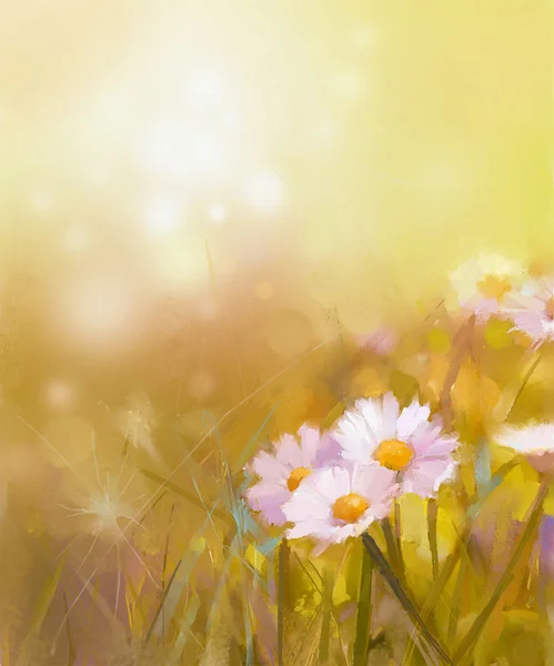 日の出ヴィンテージ油絵デイジー カモミール花フィールド — ストック写真