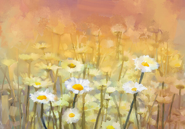 Vintage oil painting daisy-chamomile flowers field at sunrise — Stock Photo, Image