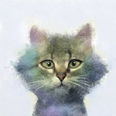  Soyut kedi yağlı boya portresi