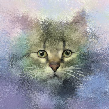  Soyut kedi yağlı boya portresi