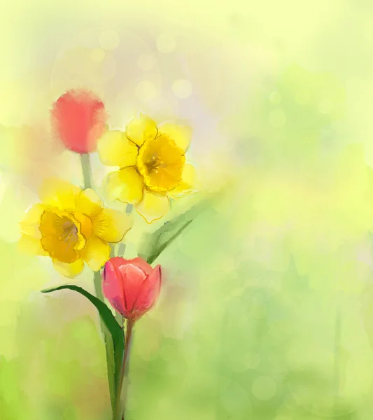 Pittura ad olio tulipano e narcisi fiori in colore tenue e sfocatura — Foto Stock