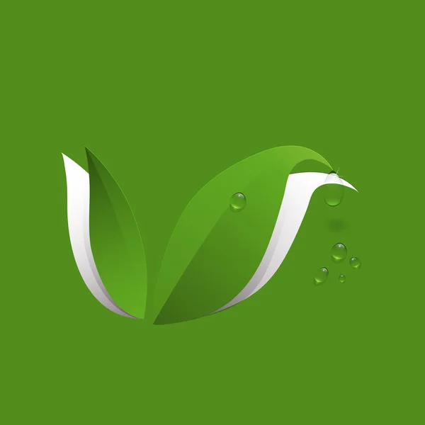 Feuille de papier vert et gouttes d'eau — Image vectorielle