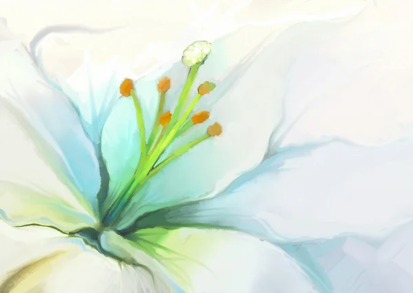 Close up White lily flower.Flower oil painting