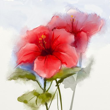 Suluboya resim kırmızı hibiscus çiçek