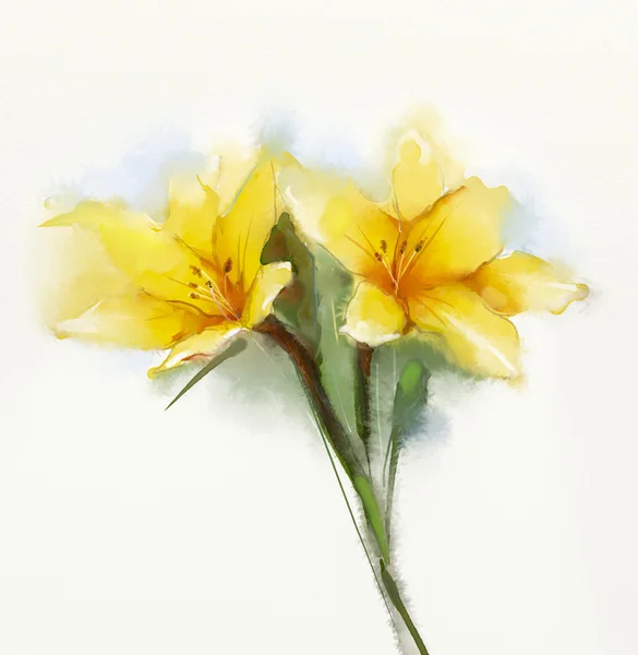 Aquarelle peinture jaune fleur de lis — Photo