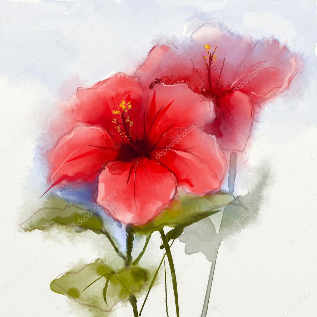 Watercolor painting red hibiscus flower