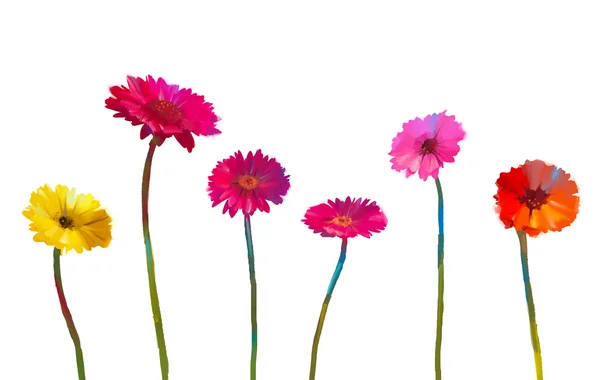 Stillleben von gelben und roten Gerbera-Blumen. Ölgemälde von Frühlingsblumen. handgemalter impressionistischer Blumenstil. isolieren Blumen auf weißem Hintergrund — Stockfoto
