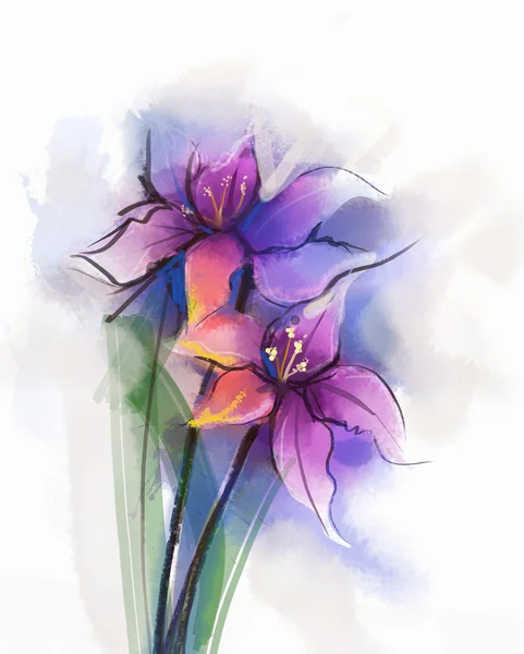 Watercolor painting violet lily flowers blossom. Hand Painted Close up of lilies floral petals in soft color — Zdjęcie stockowe