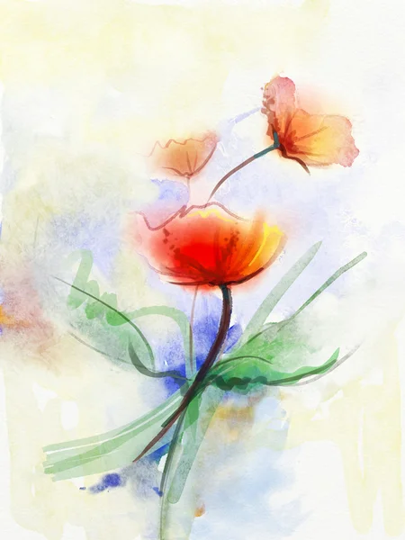 Abstract floral watercolor paintings.Red poppy flowers in soft color on grunge paper — Stok fotoğraf