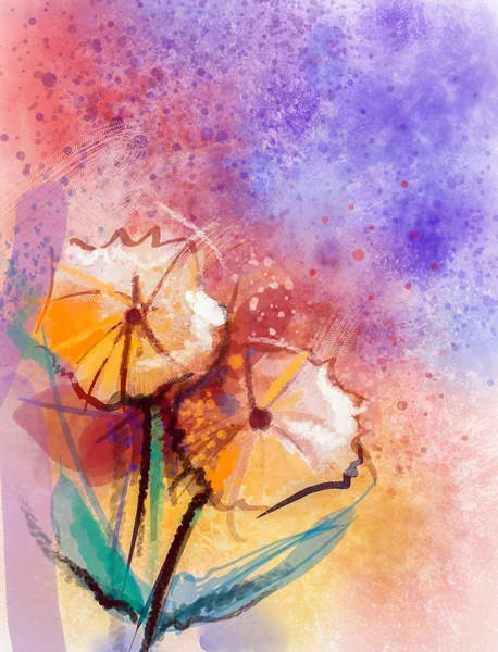 Pintura acuarela flores de gerberas naranja. Fondo colorido con salpicaduras y grunge amarillo, rojo y púrpura en color suave y estilo borroso. Primavera naturaleza floral estacional —  Fotos de Stock