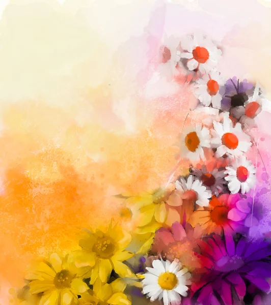 Pintura a óleo flores misturam técnicas de aquarela no fundo. Mão pintar ainda vida flor de branco, amarelo e vermelho cor margarida e gerbera — Fotografia de Stock