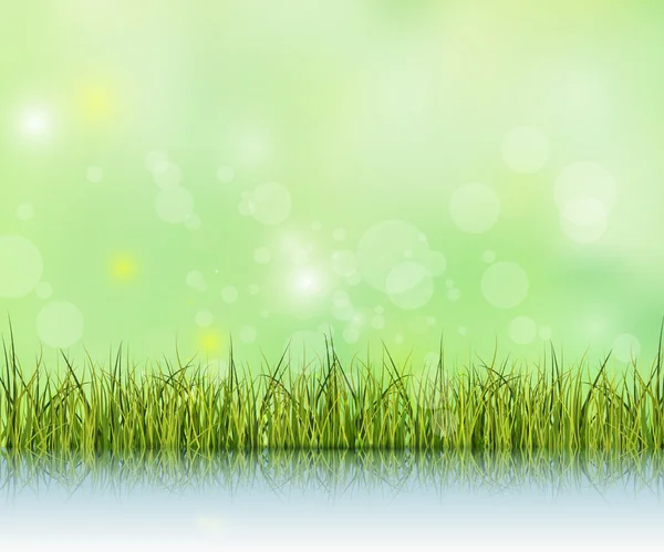 Grünes Gras mit Reflexion auf Wasser floor.bokeh Effekt auf hellgrünem und blauem pastellfarbenem Hintergrund — Stockvektor