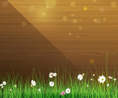 Vector illustration Spring nature background. Green grass and leaf plant, White Gerbera, Daisy flowers and sunlight over wood fence with bokeh effect clipart