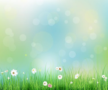 Vektör çizim bahar doğa alanı ile yeşil çim beyaz Gerbera - papatya çiçek çayır ve su damla çiğ yeşil yapraklarda