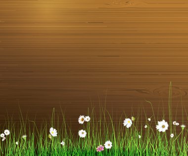 Vektör çizim bahar doğa arka plan. Yeşil çim ve leaf bitki, beyaz Gerbera, papatya çiçekleri ve ahşap çit üzerine güneş ışığı.