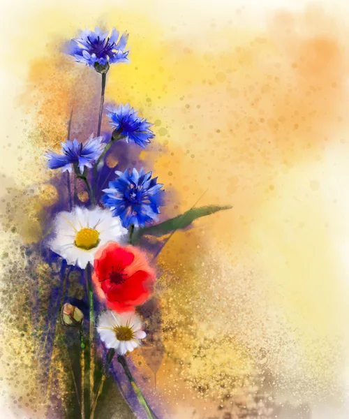 水彩画红色罂粟花、 矢车菊蓝色和白色的雏菊绘画 — 图库照片