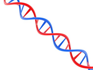 Beyaz arkaplanda izole edilmiş DNA moleküllü biyokimya kavramı, 3D görüntüleme