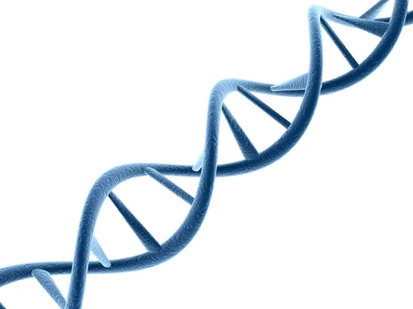 Concepto Bioquímica Con Adn Estructura Aislada Fondo Blanco Formación Ciencias —  Fotos de Stock