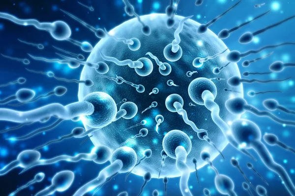 Esperma Óvulos Con Antecedentes Científicos Médicos Concepto Reproducción Humana Ilustración —  Fotos de Stock