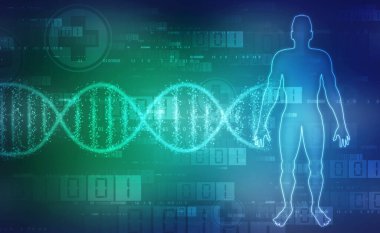 Tıbbi geçmişinde DNA yapısına sahip insan anatomisi, kromozom adamı, tıbbi teknoloji geçmişi 