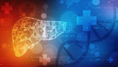 2D illüstrasyon insan karaciğeri, tıp anatomisi, organ insan, sağlık ve biyoloji geçmişi