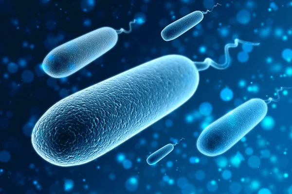 Ilustración Bacterias Escherichia Coli Coli Bacterias Fondo Tecnología Médica —  Fotos de Stock