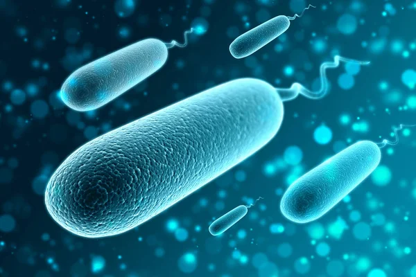 Ilustración Bacterias Escherichia Coli Coli Bacterias Fondo Tecnología Médica —  Fotos de Stock