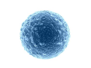 Bakteri, virüs, beyaz zemin içerisindeki hücre 3B oluşturma