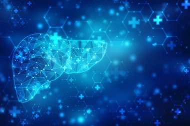 2D illüstrasyon insan karaciğeri, tıp anatomisi, organ insan, sağlık ve biyoloji geçmişi