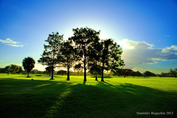Golfbana Stockfoto