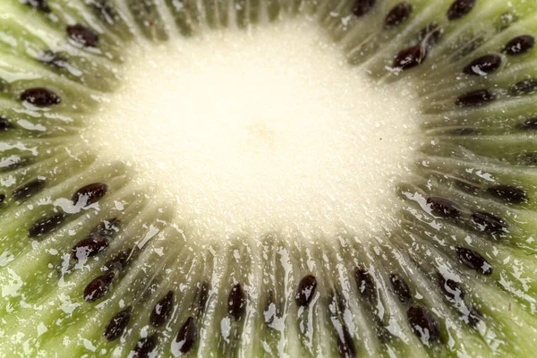 Nahaufnahme von Kiwi-Früchten und Kiwi-Scheiben isoliert auf weißem Hintergrund — Stockfoto