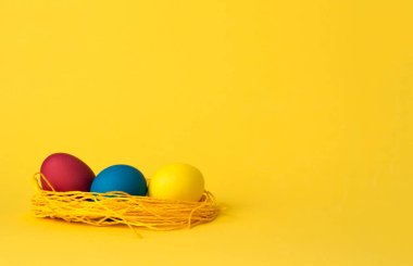 Sarı arka planda boyalı tavuk yumurtası. Paskalya yumurtaları. kopyalama alanı