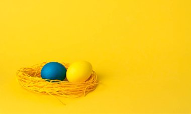 Sarı arka planda boyalı tavuk yumurtası. Paskalya yumurtaları. kopyalama alanı