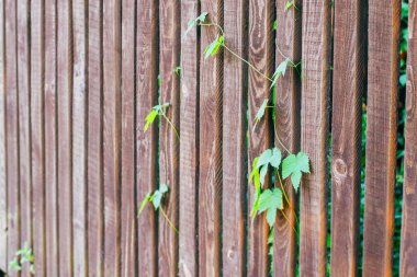 Ahşap bir çit atlama sayısının kaynaklanıyor