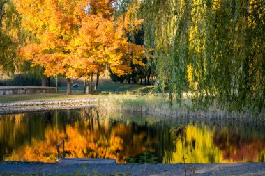 sonbahar park ve göl
