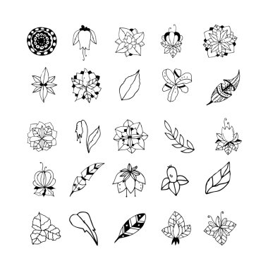 Elle çizilmiş mistik bitkiler kümesi