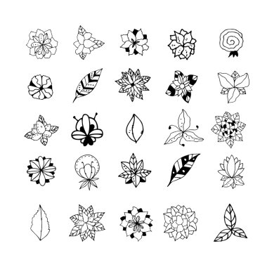 Elle çizilmiş mistik bitkiler kümesi