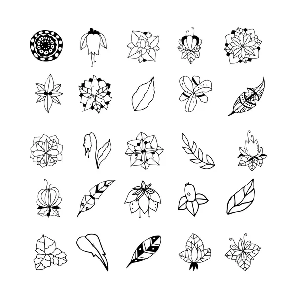 Conjunto de plantas místicas dibujadas a mano — Archivo Imágenes Vectoriales