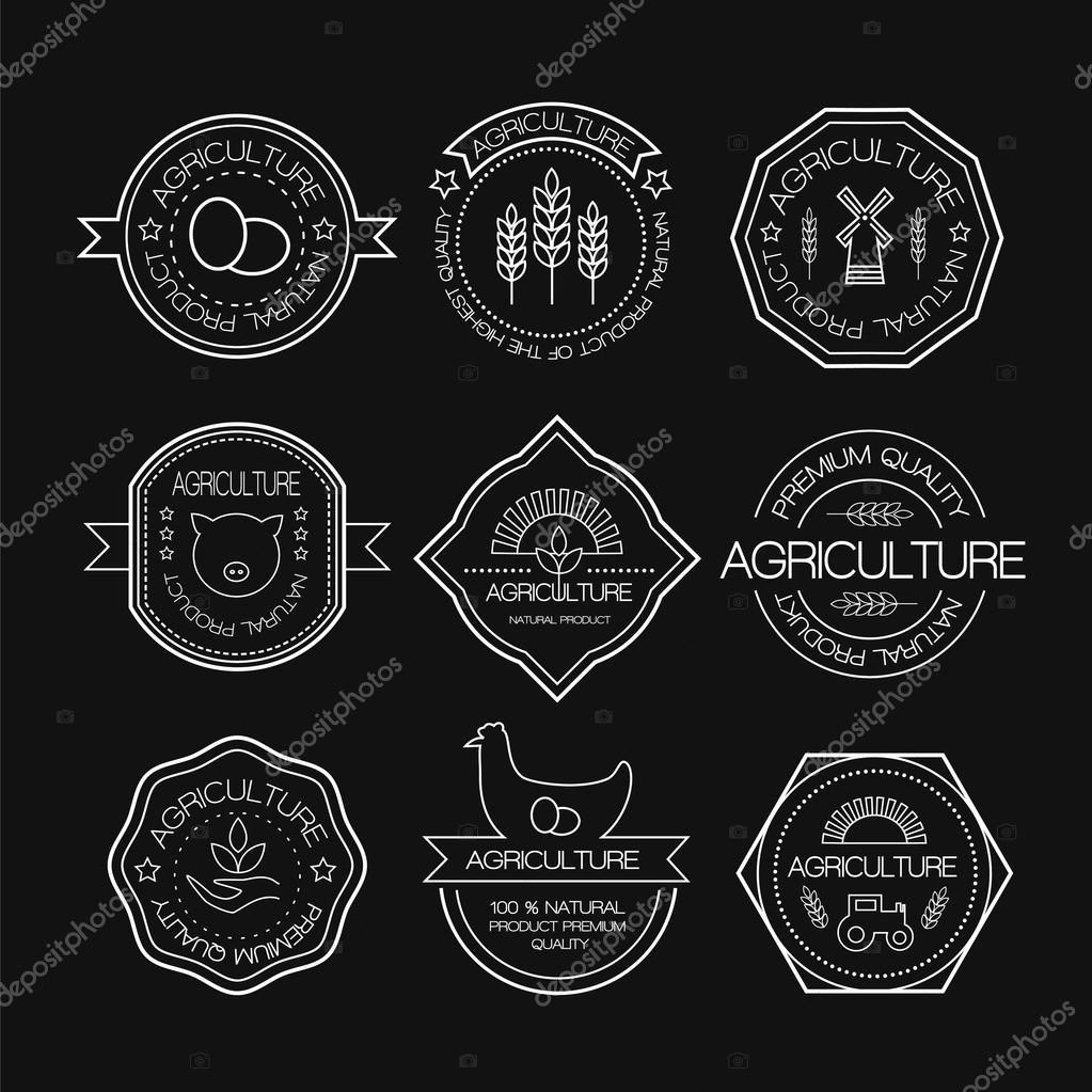 Set of vintage style elements for labels and badges for natural organic products, biodynamic agriculture. Agriculture and farming logos in linear style.