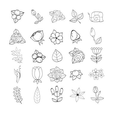 Elegant design elements set.