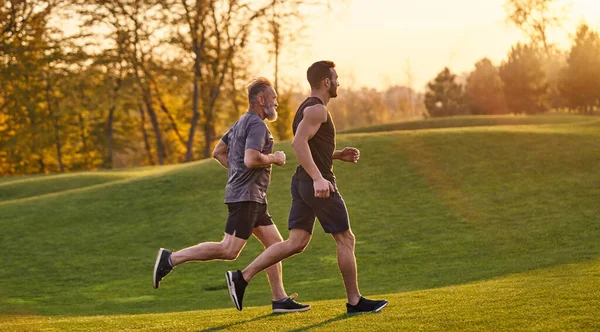 The old and young sportsmen running in the green park