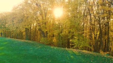 Ağaçların arkasında güzel bir gün doğumu