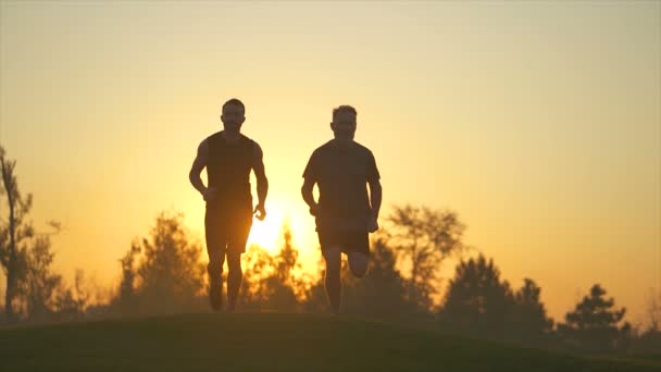 美しい夕日を背景に草の上を走る二人の男 スローモーション — ストック動画