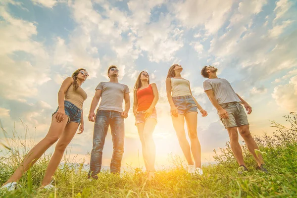 Fem Vännerna Står Gräset Den Soliga Bakgrunden — Stockfoto