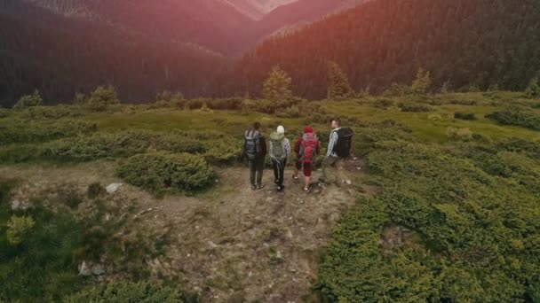 Los Cuatro Turistas Están Pie Cima Montaña — Vídeos de Stock