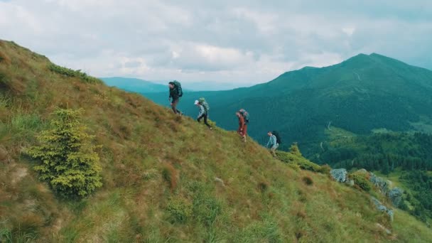 Quatro Pessoas Que Caminham Montanha — Vídeo de Stock