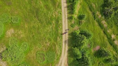 Dağ yolunda yürüyen insanların üstündeki uçuş.
